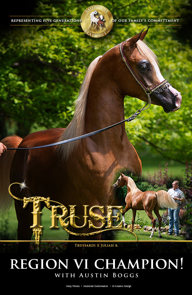 Midwest Station I - Arabian Horse News